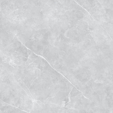 SAVANA-21.B.880.6501